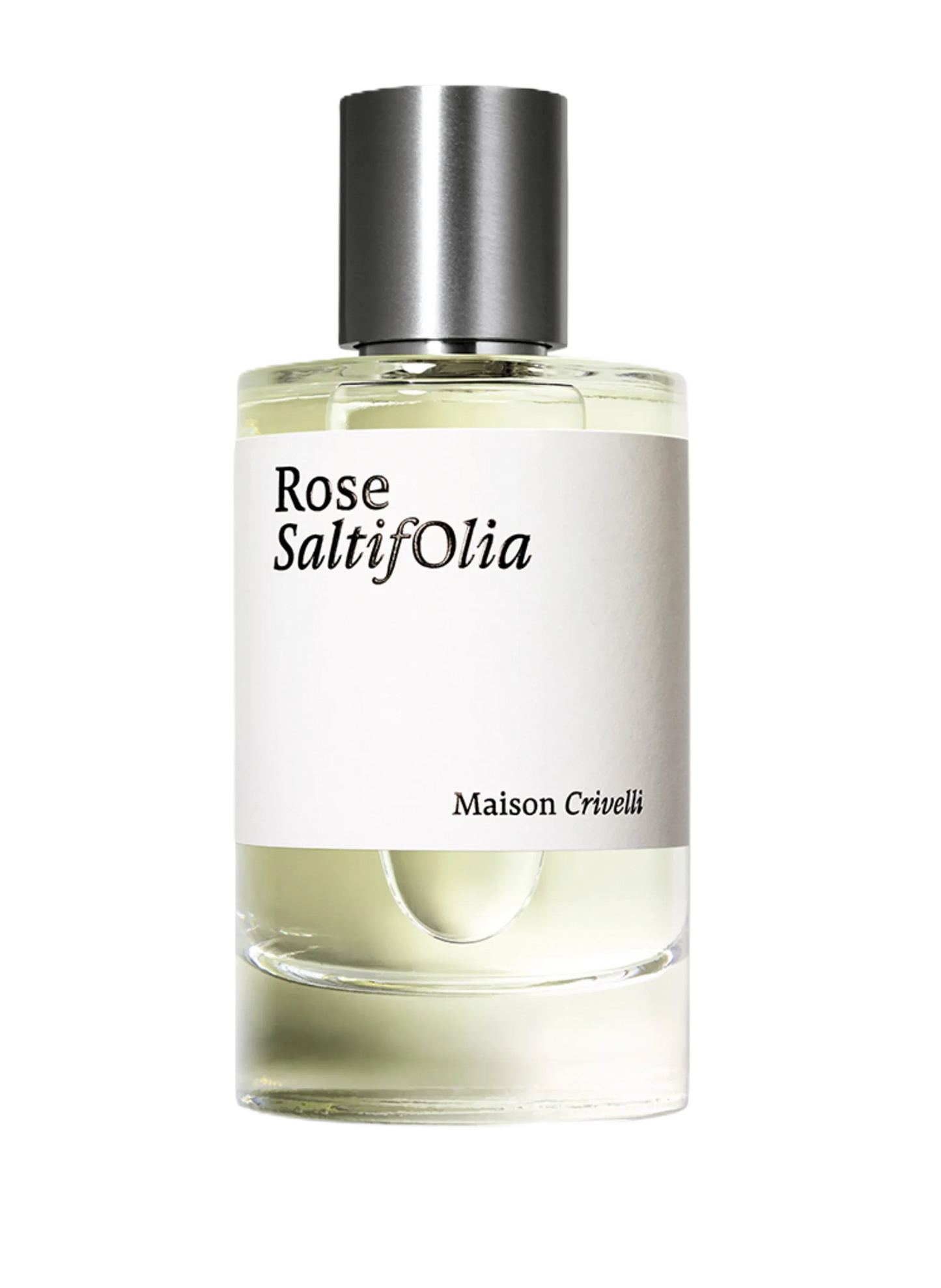 Rose Saltifolia
