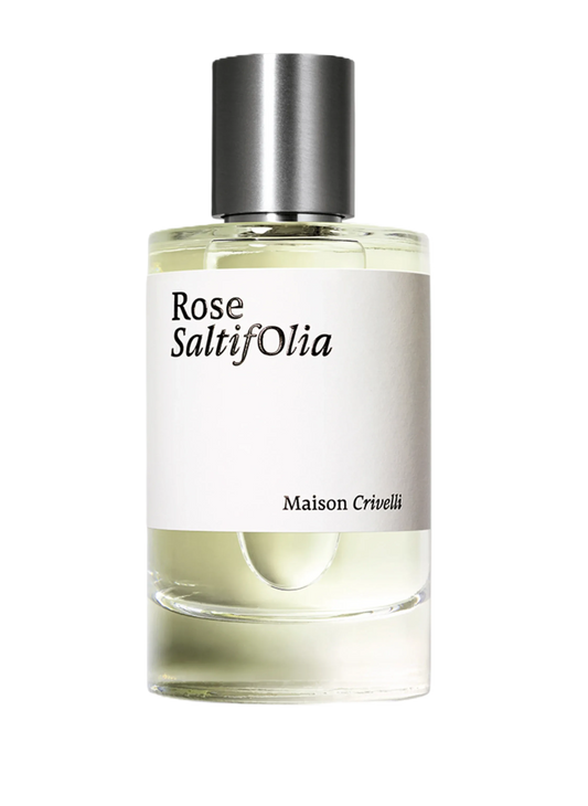 Rose Saltifolia