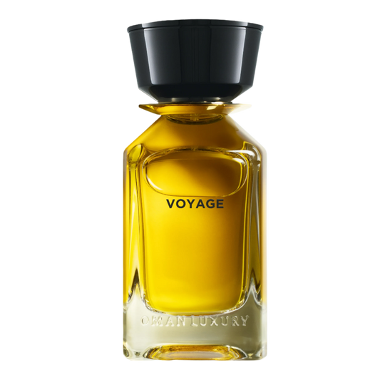 Voyage